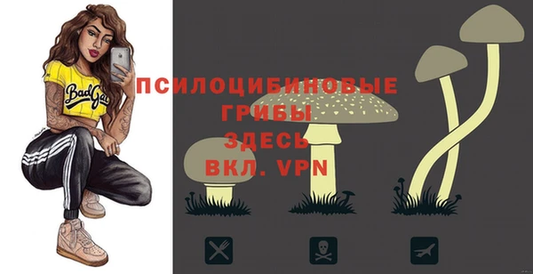 альфа пвп Гусиноозёрск
