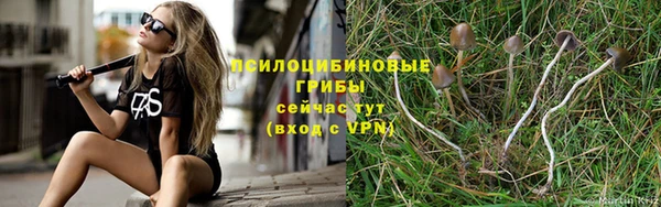 альфа пвп Гусиноозёрск